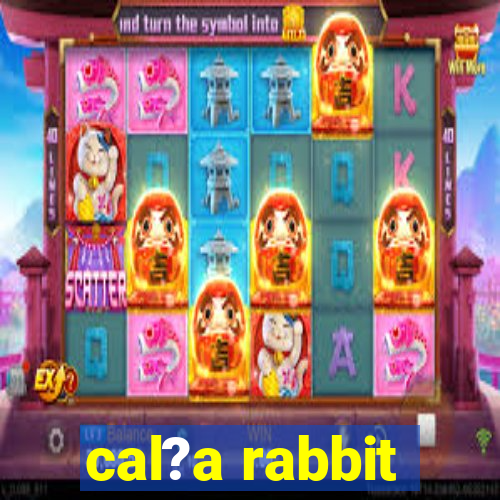 cal?a rabbit