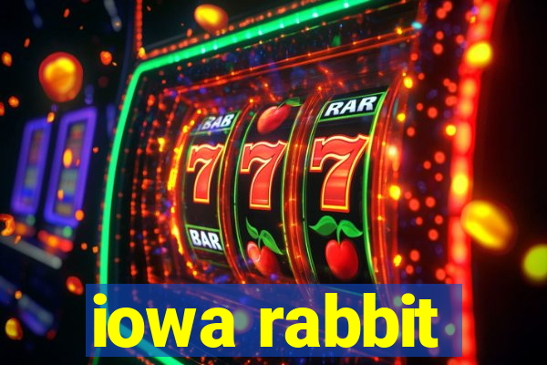 iowa rabbit