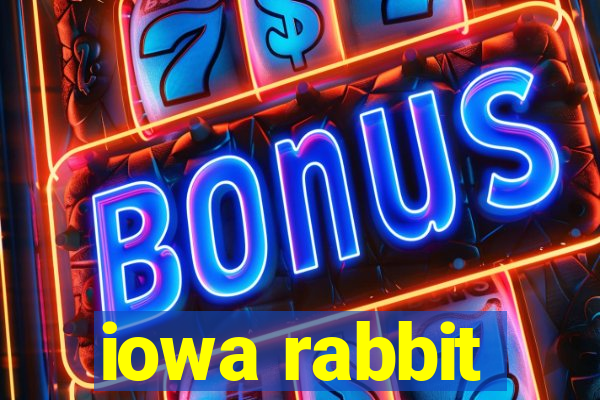 iowa rabbit