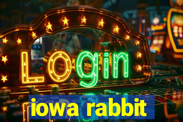 iowa rabbit