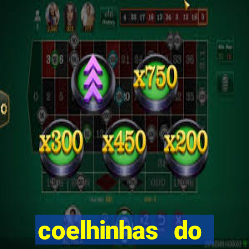 coelhinhas do brasil jp