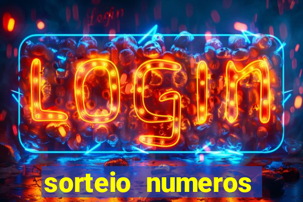 sorteio numeros bingo online