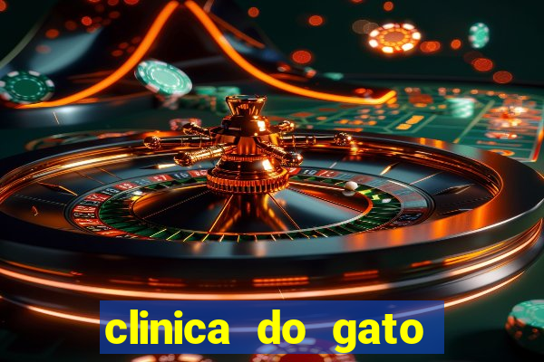 clinica do gato porto alegre