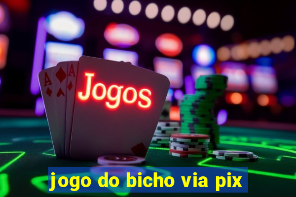 jogo do bicho via pix