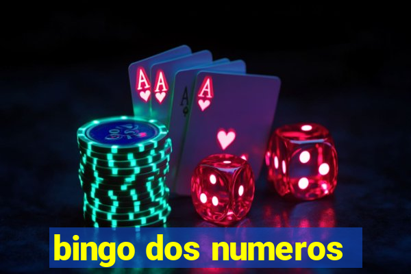 bingo dos numeros