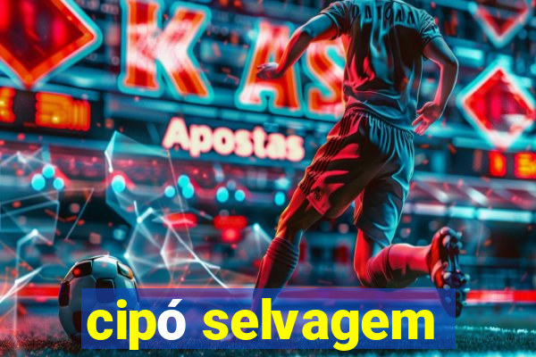 cipó selvagem