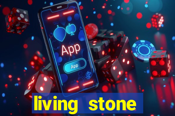 living stone network tv