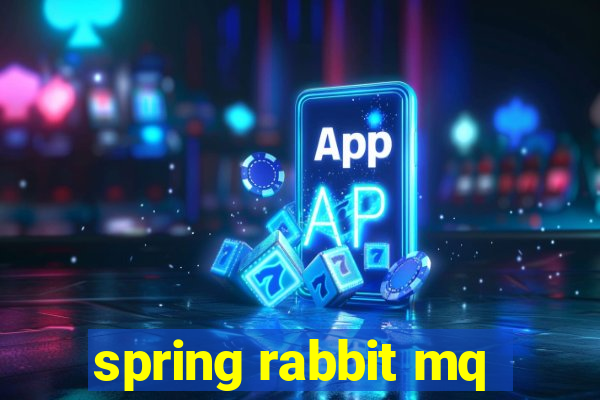 spring rabbit mq