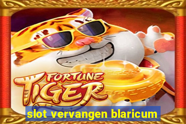 slot vervangen blaricum