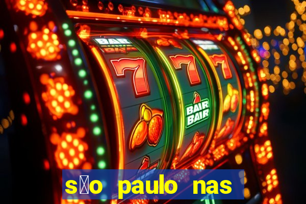 s茫o paulo nas alturas pdf