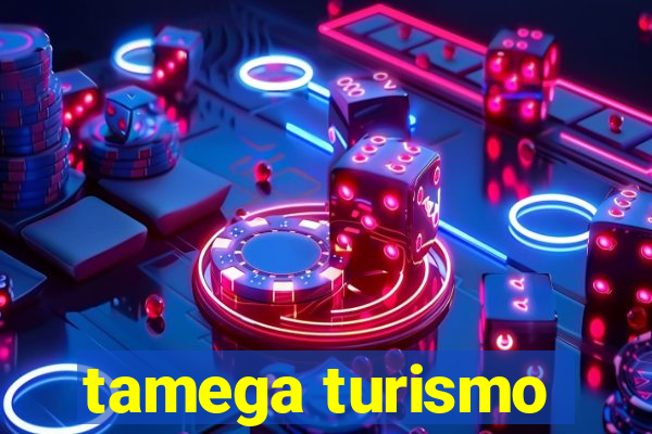 tamega turismo