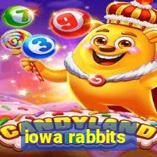 iowa rabbits