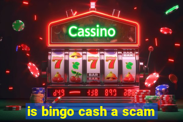 is bingo cash a scam