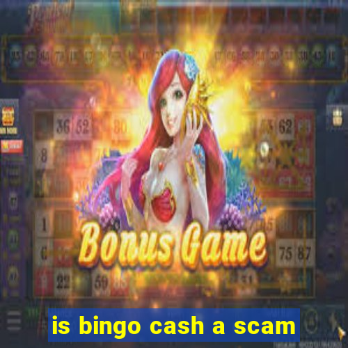 is bingo cash a scam