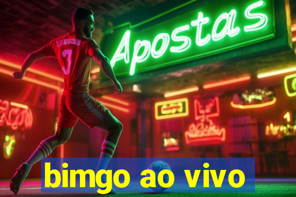 bimgo ao vivo