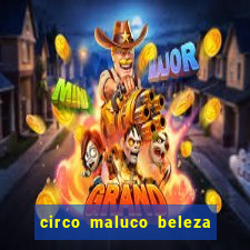 circo maluco beleza recife circo maluco