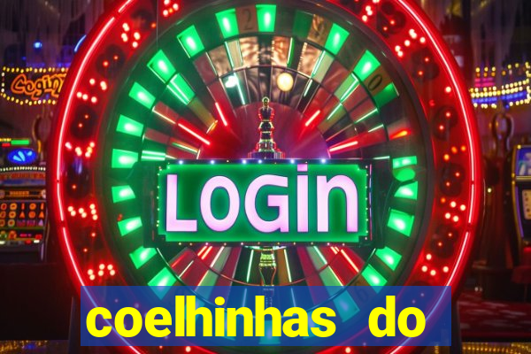 coelhinhas do brasil recife