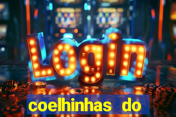 coelhinhas do brasil recife