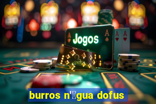 burros n'谩gua dofus