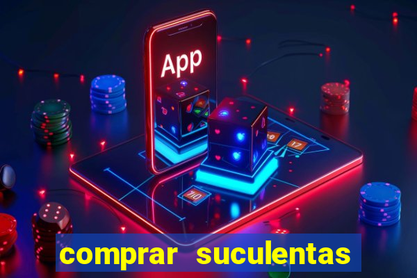 comprar suculentas direto do produtor