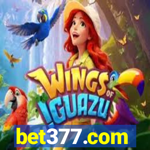 bet377.com