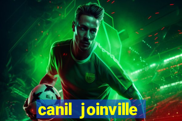 canil joinville vila nova