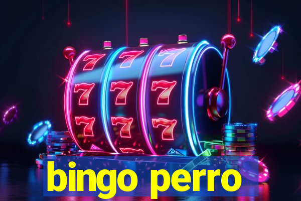 bingo perro