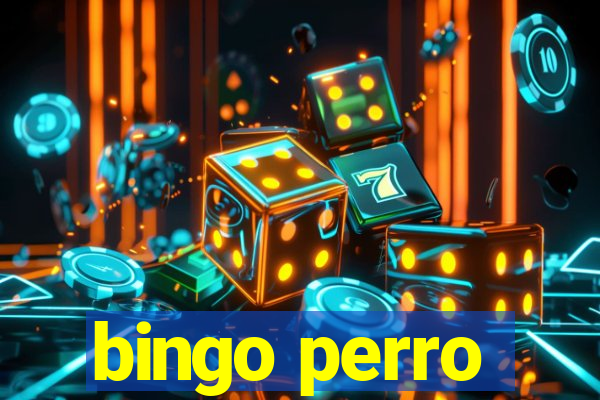 bingo perro