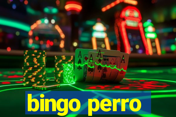 bingo perro