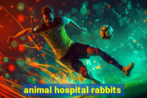 animal hospital rabbits