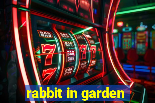 rabbit in garden