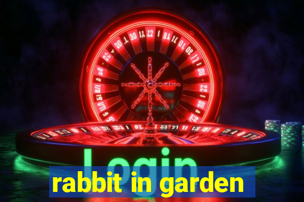 rabbit in garden