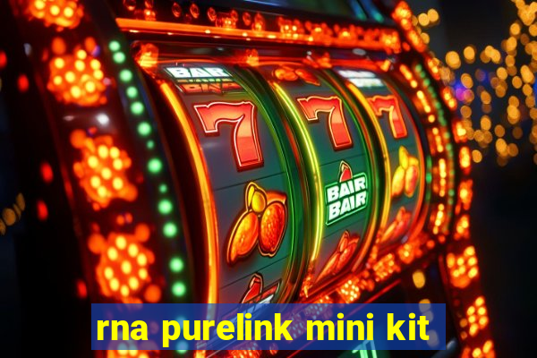 rna purelink mini kit