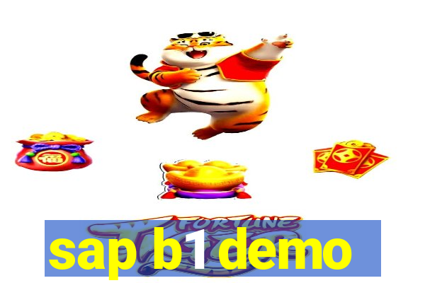 sap b1 demo