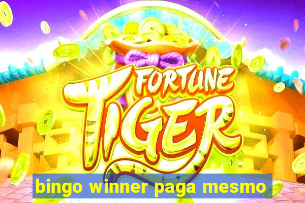 bingo winner paga mesmo