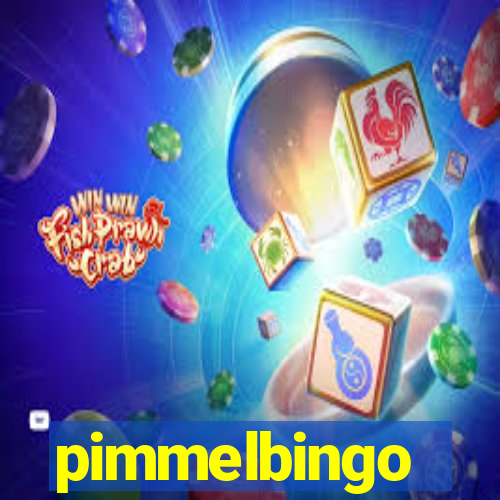 pimmelbingo