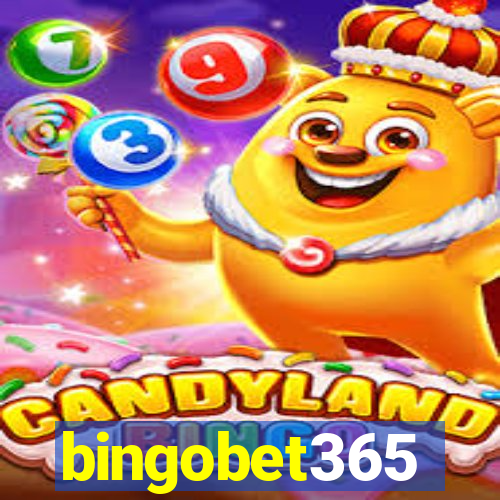 bingobet365