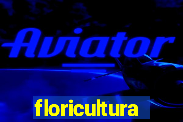 floricultura cruzeiro novo