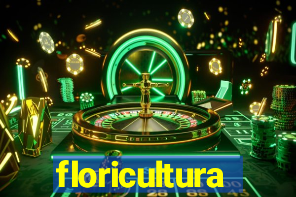 floricultura cruzeiro novo