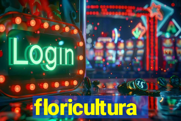 floricultura cruzeiro novo