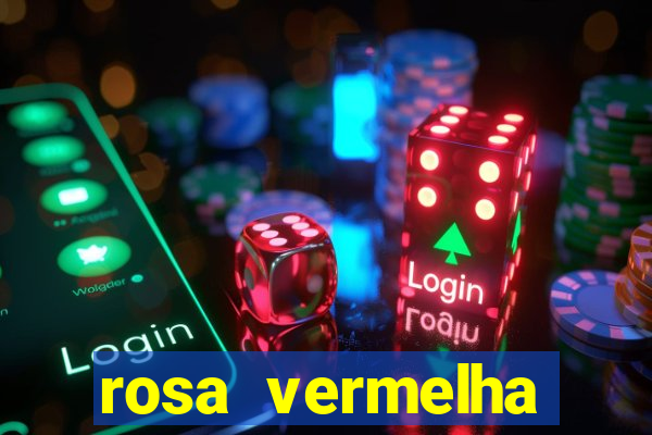 rosa vermelha (letra e cifra)