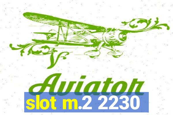 slot m.2 2230