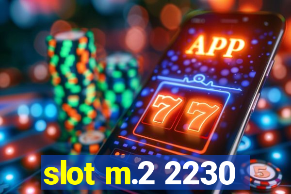 slot m.2 2230