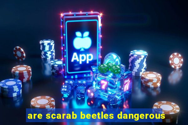 are scarab beetles dangerous