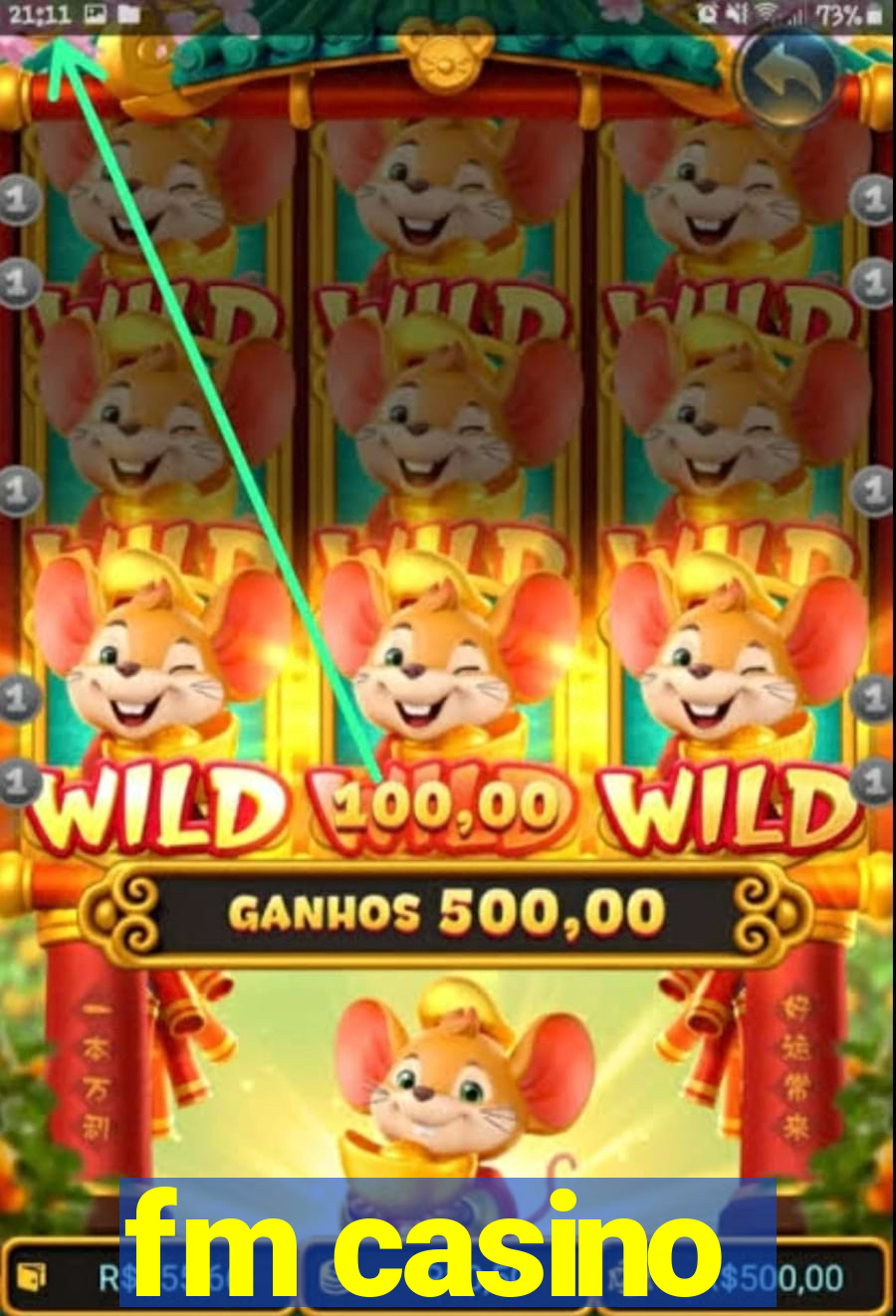 fm casino