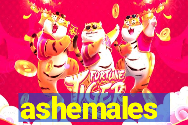 ashemales