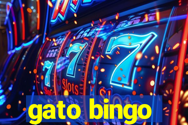 gato bingo