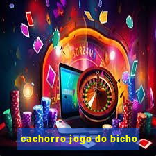 cachorro jogo do bicho