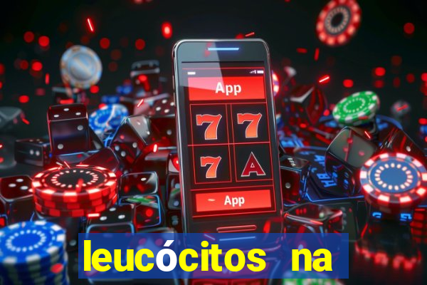 leucócitos na urina altos