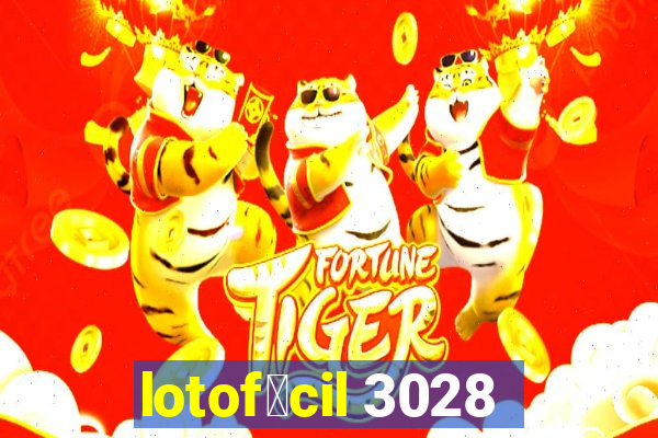 lotof谩cil 3028